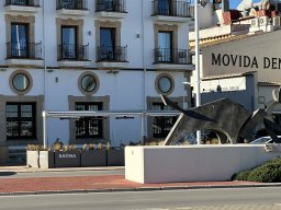 213-11-01-2026 IMG_3410